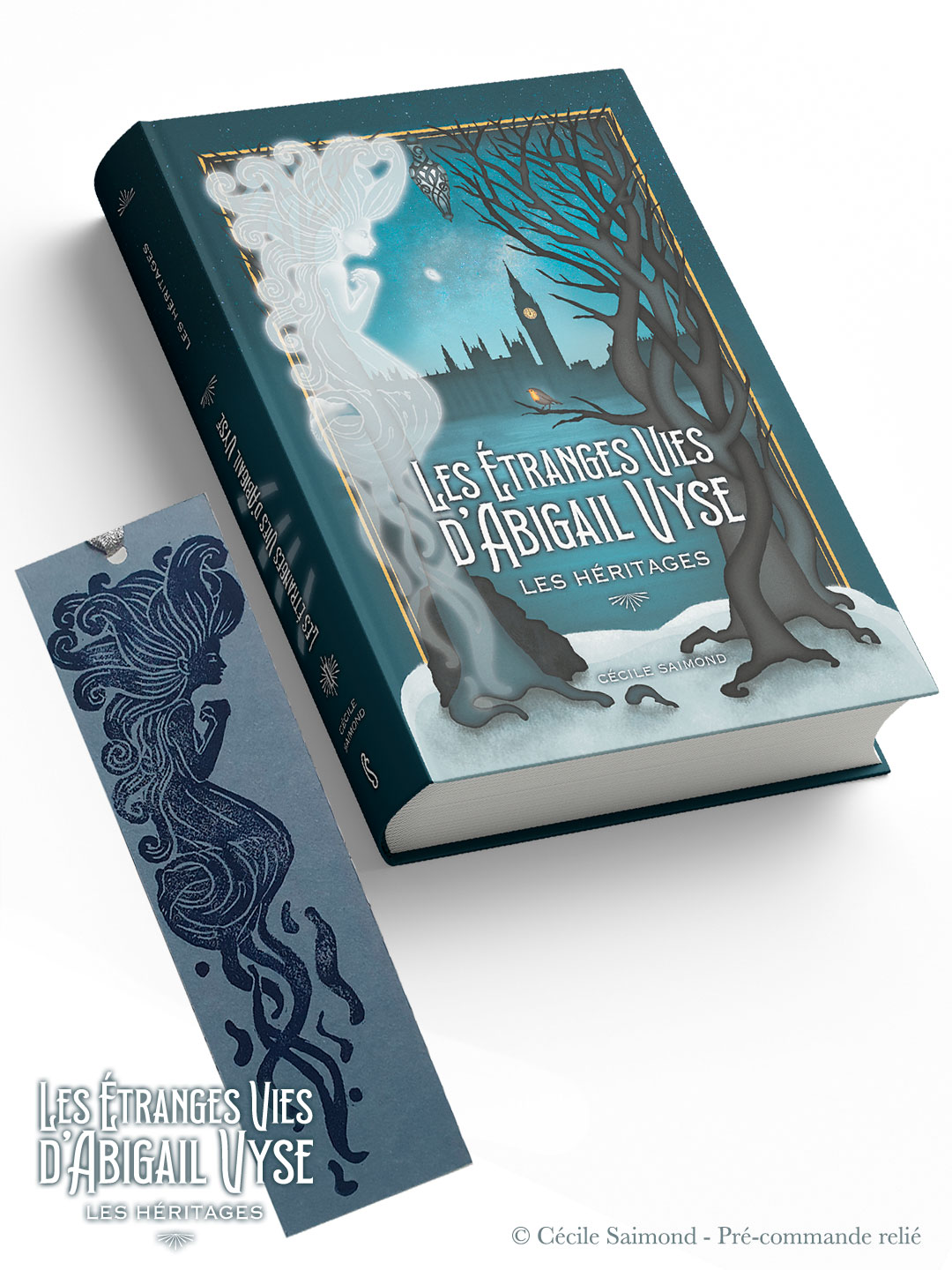 Les héritages - Les étranges vies d'Abigail Vyse + marque-page