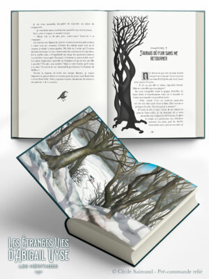 Box complète pré-commande – « Les héritages – Les étranges vies »