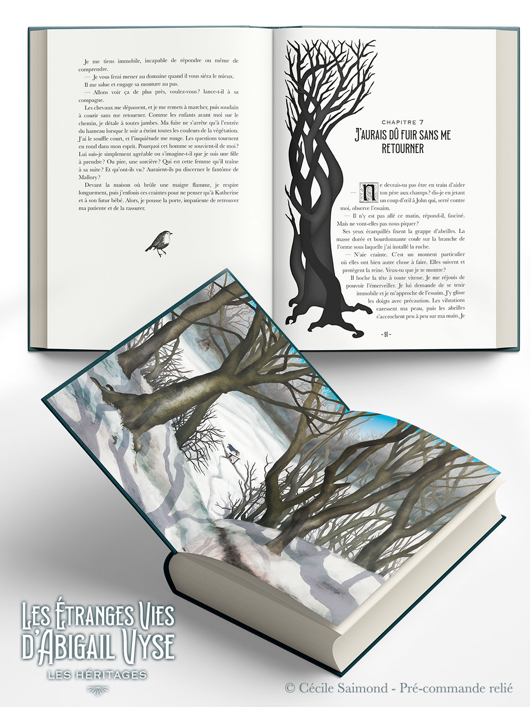 Les étranges vies d'Abigail Vyse - Les héritages de Cécile Saimond - mise en page soignée + pages de garde