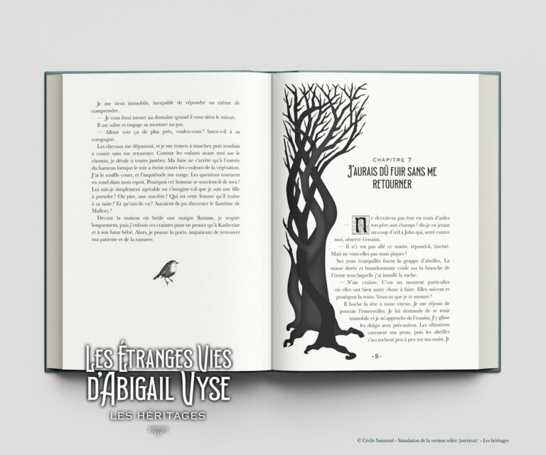 Les étranges vies d'Abigail Vyse - Saga gothique et historique - Livre 1 Les héritages de Cécile Saimond, Autrice française de l'imaginaire - Mise en page de luxe